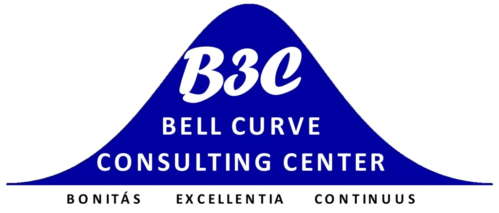 B3C Global - teg.institute B3C Global - Innovation and improvement consulting platform supporting organizations and ecosystems in transformation